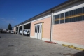 Giolitosrl- Foto azienda 7